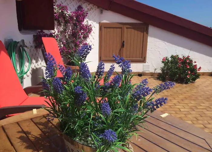 Estudio La Barquera Nyaraló San Vicente de la Barquera