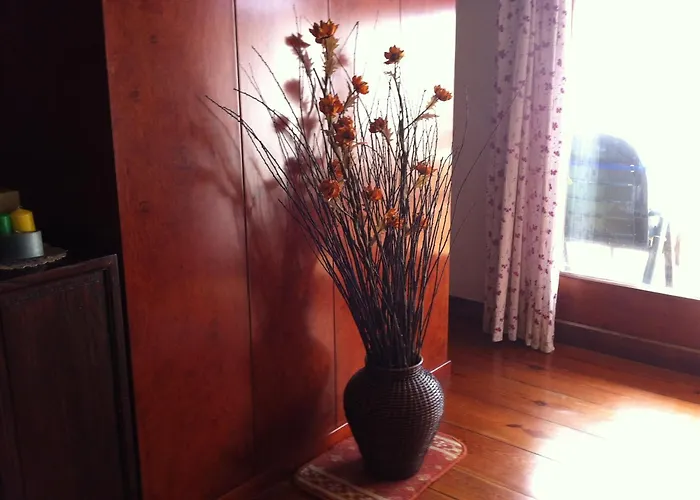 Estudio La Barquera Nyaraló *